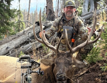 Sns Wyoming Wilderness Elk 2026 15.jpg